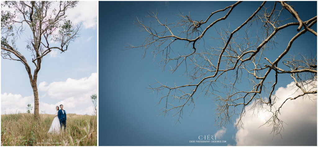 Khao Yai pre wedding photoshoot Couple Jinny and Yao from Hongkong