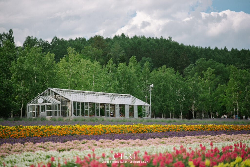 Hokkaido Pre Wedding Photography, Japan - Tomita Farm