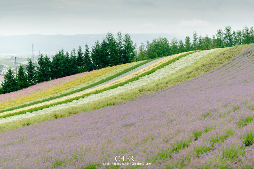 Hokkaido Pre Wedding Photography, Japan - Tomita Farm