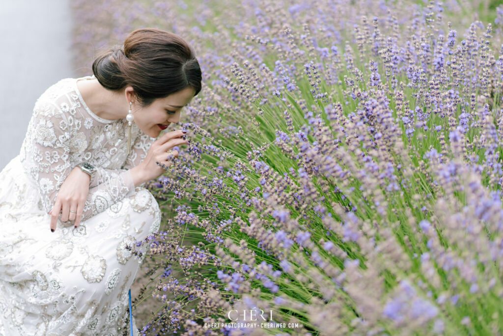 Hokkaido Pre Wedding Photography, Japan - Tomita Farm