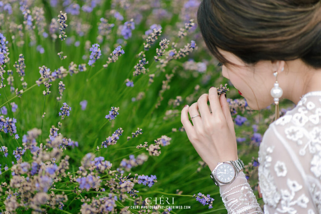 Hokkaido Pre Wedding Photography, Japan - Tomita Farm