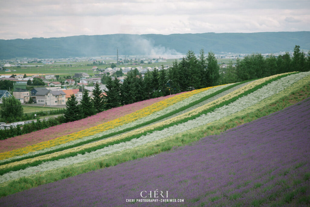 Hokkaido Pre Wedding Photography, Japan - Tomita Farm